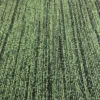 alfombra en palmetas Inter FIRST DECODE 625 2