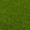 Pasto sintetico Premium
