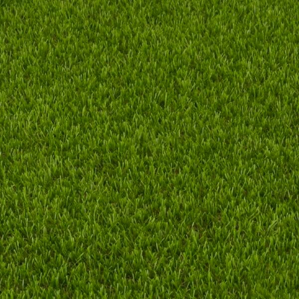 Pasto sintetico Premium