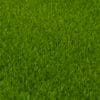 Pasto sintetico