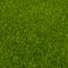 Pasto sintetico Premium