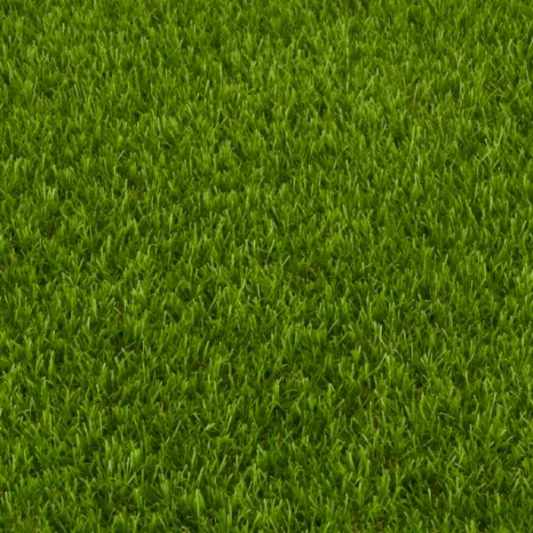 Pasto sintetico Premium