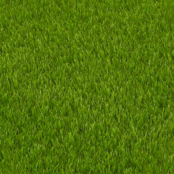 Pasto sintetico