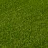 Pasto sintetico Premium