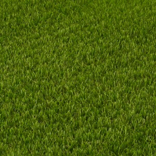 Pasto sintetico Premium
