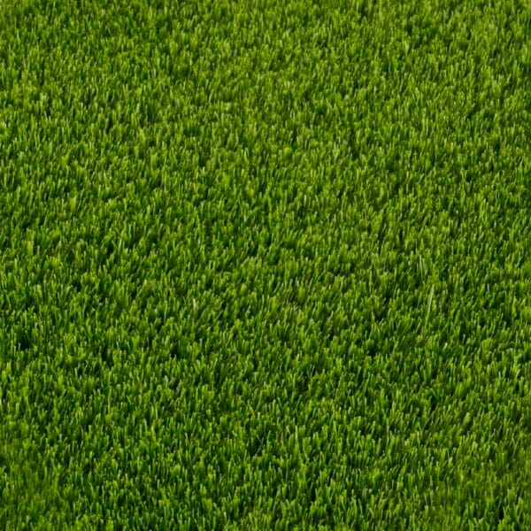 Pasto sintetico Premium